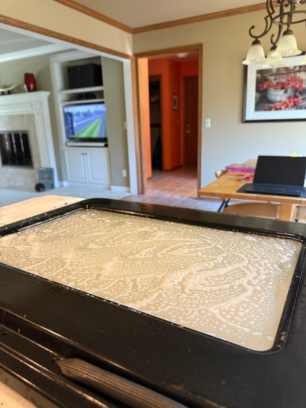 Dishwasher with suds and standing water